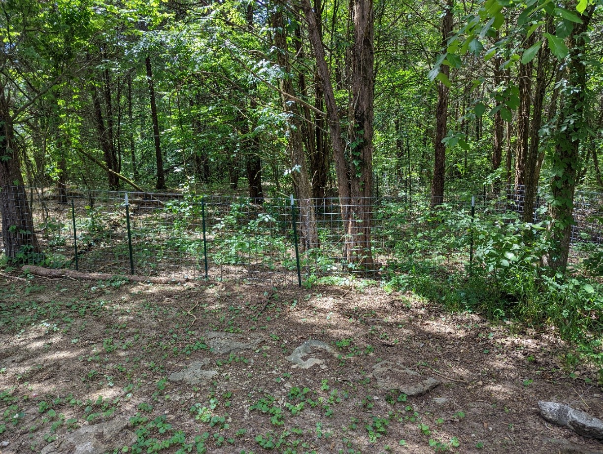 4747 Jones Road Christiana, TN 37037 - Photo 5 of 29 a view of a forest with trees in the background