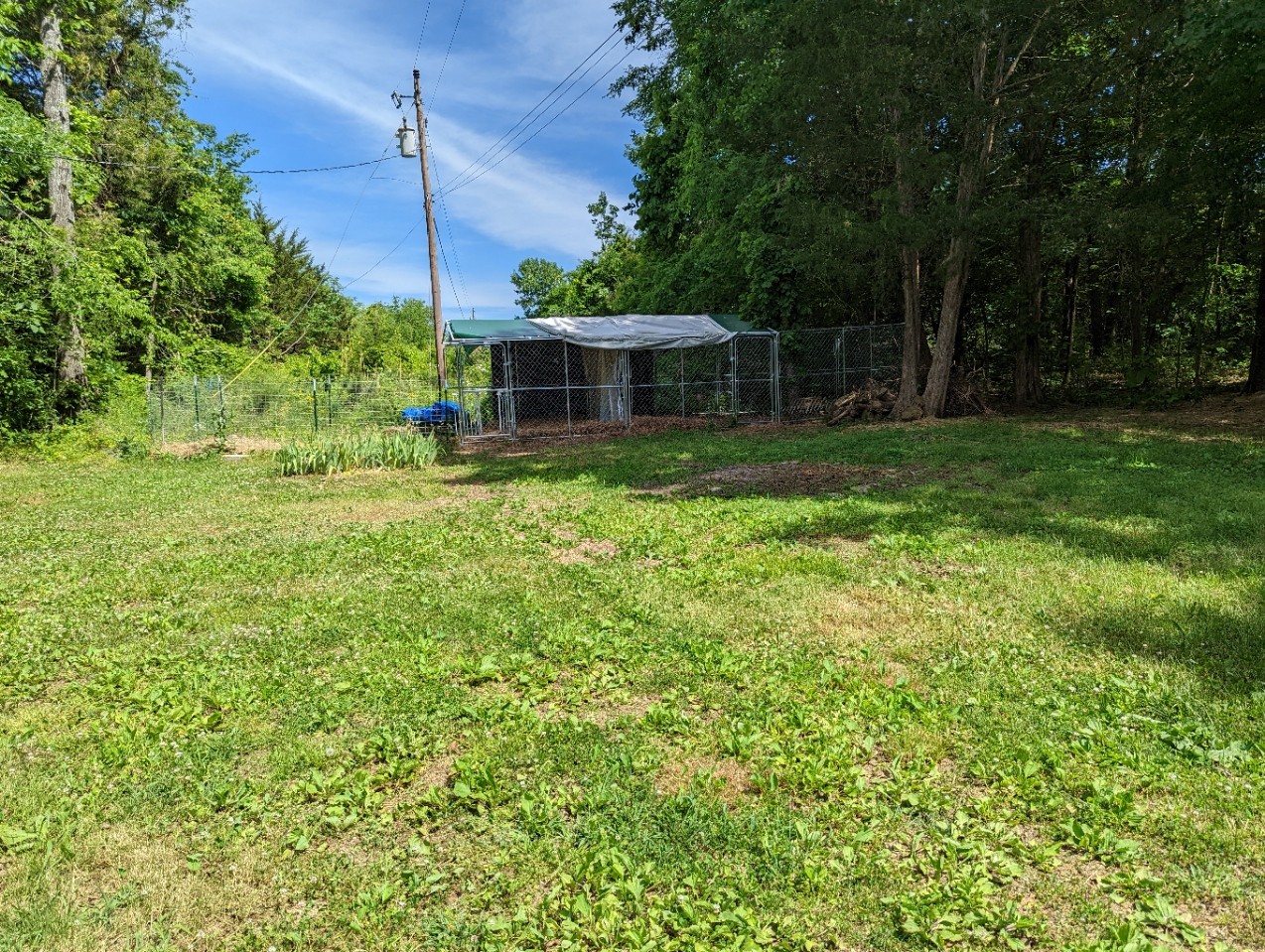 4747 Jones Road Christiana, TN 37037 - Photo 8 of 29 a view of a house with a backyard