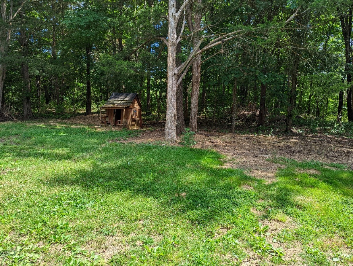 4747 Jones Road Christiana, TN 37037 - Photo 10 of 29 a view of backyard with a table and chairs a barbeque and a large trees with a swing