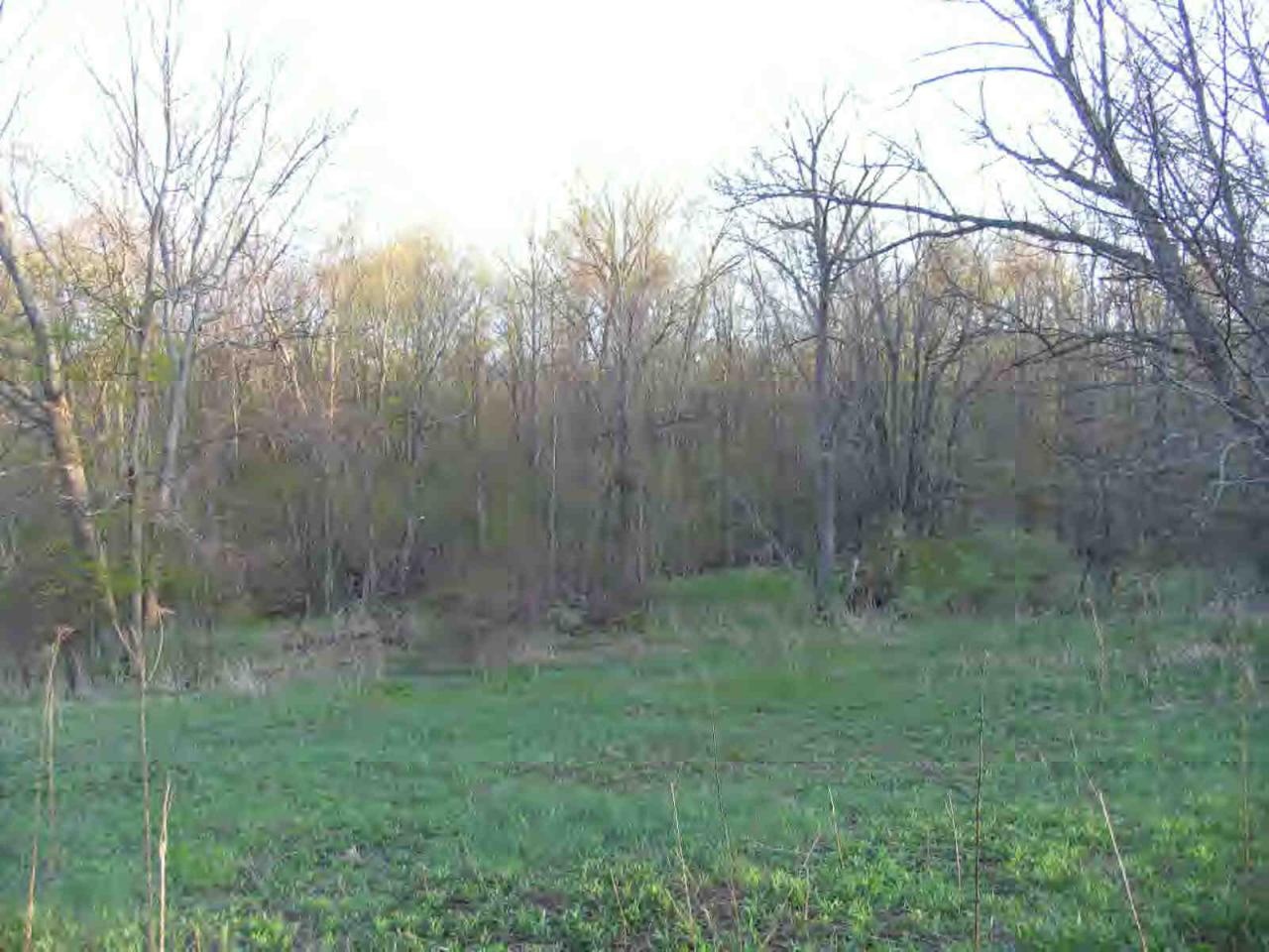 2633 State Road Richmond, MA 01254 - Photo 1 of 2 a view of an outdoor space and a yard