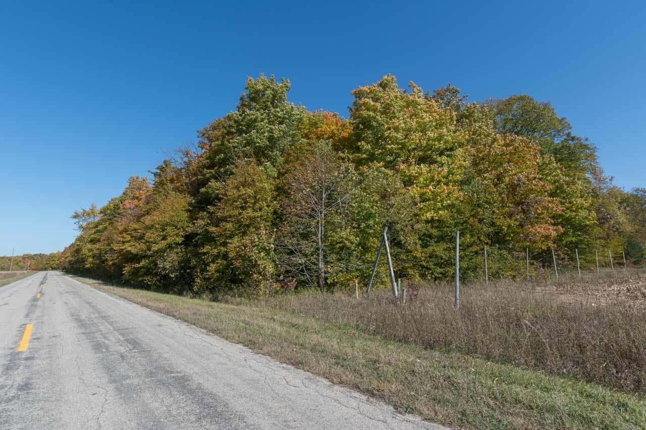 0 South Fritz Road Maple City, MI 49664 - Photo 6 of 16