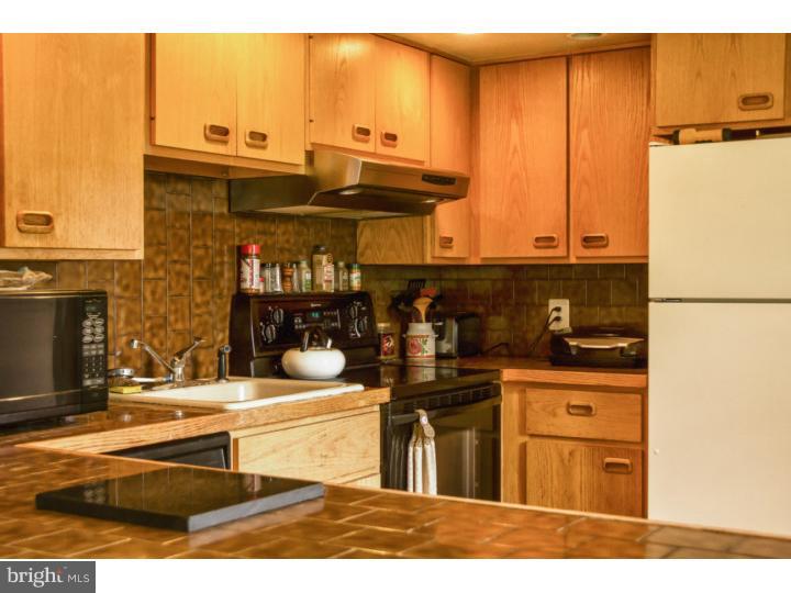 1061 Ferry Road Doylestown, PA 18901 - Photo 9 of 18 Kitchen