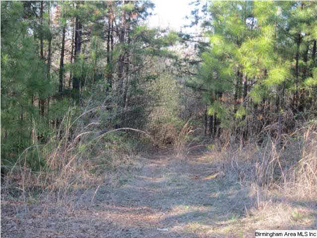 215 Craft Road Talladega, AL 35160 - Photo 16 of 18