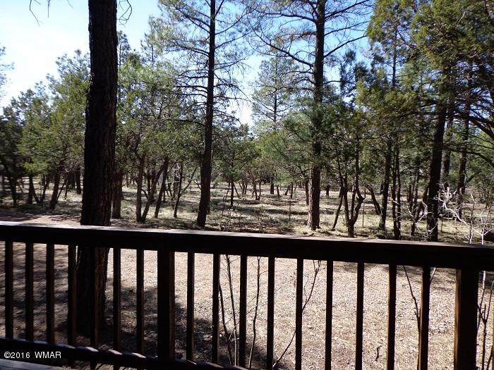 70 West Blue Ridge Lakeside, AZ 85929 - Photo 19 of 25