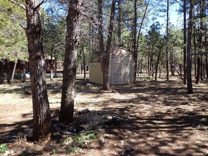 70 West Blue Ridge Lakeside, AZ 85929 - Photo 21 of 25