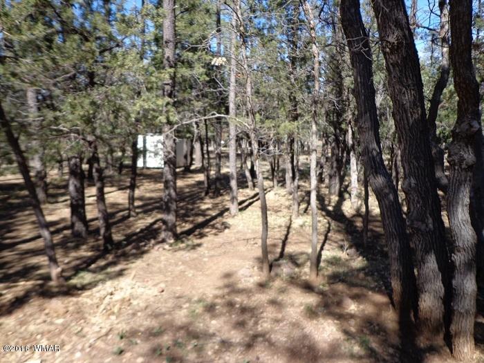 70 West Blue Ridge Lakeside, AZ 85929 - Photo 22 of 25