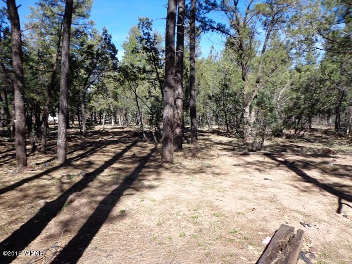 70 West Blue Ridge Lakeside, AZ 85929 - Photo 23 of 25