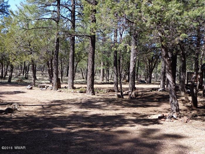 70 West Blue Ridge Lakeside, AZ 85929 - Photo 24 of 25