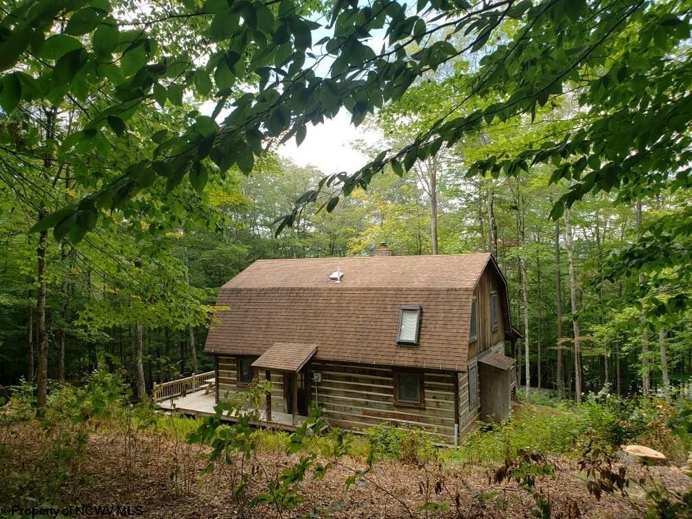 309 Mountainside Road Davis, WV 26260 - Photo 24 of 28 Gallery Image 24