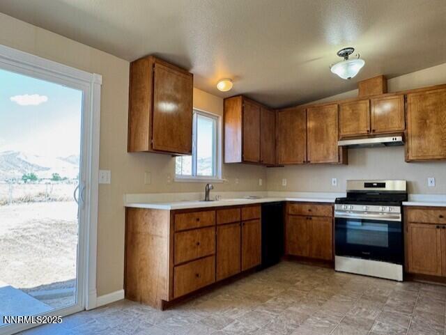 575 Yellow Jacket Road Dayton, NV 89403 - Photo 8 of 26 thumbnail_IMG_7822