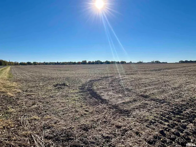 $900,000 | 13781 Gilmore Road, Auburn, IL 62615