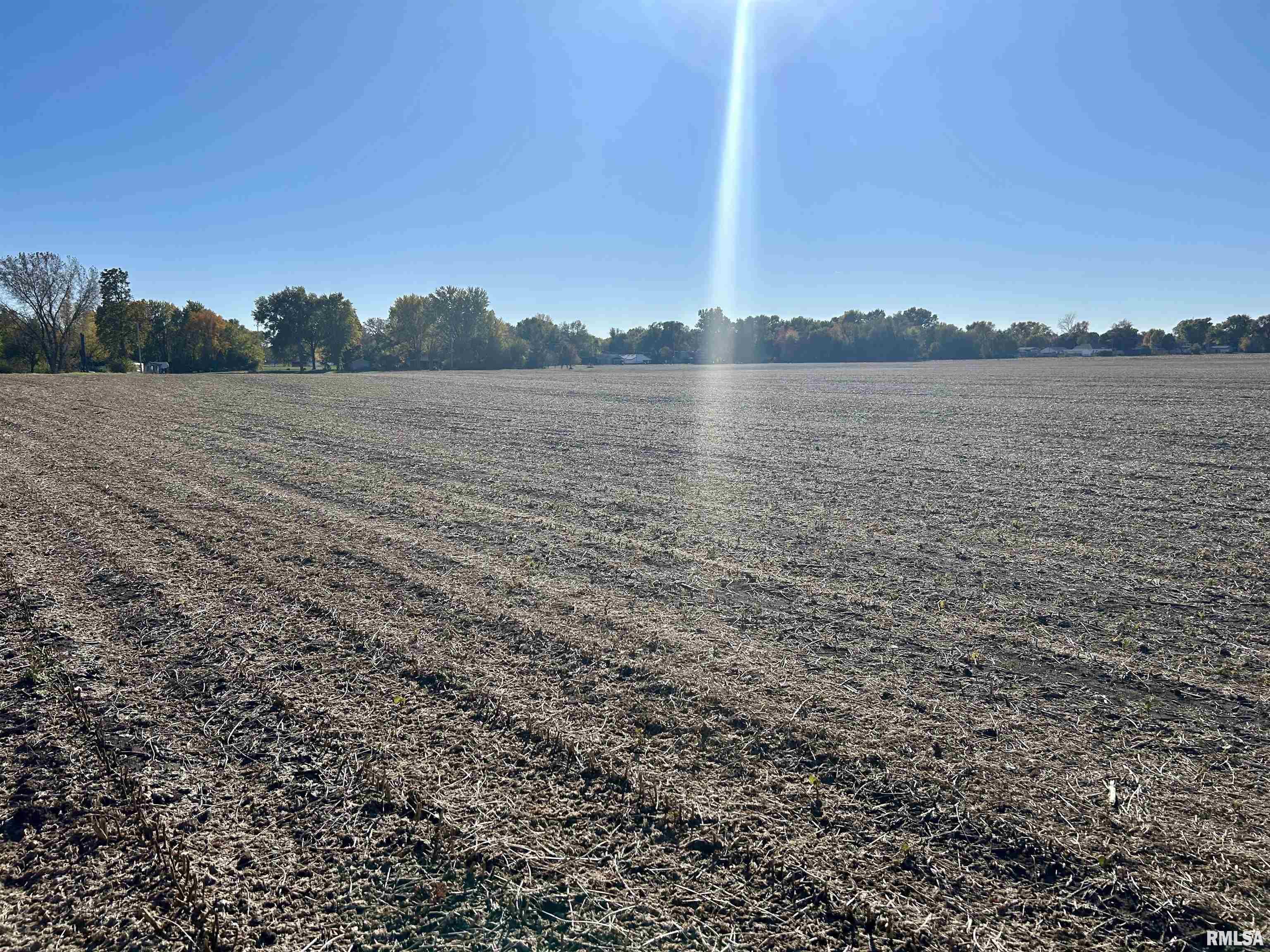 13781 Gilmore Road Auburn, IL 62615 - Photo 3 of 4
