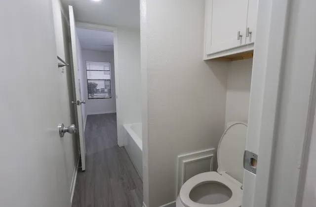 a view of a yard with plants and large trees