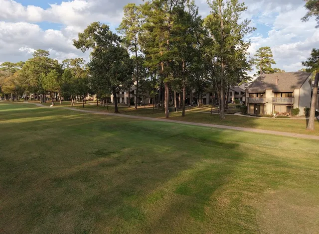 $925 | 12900 Walden Road, Unit G 711, Montgomery, TX 77356