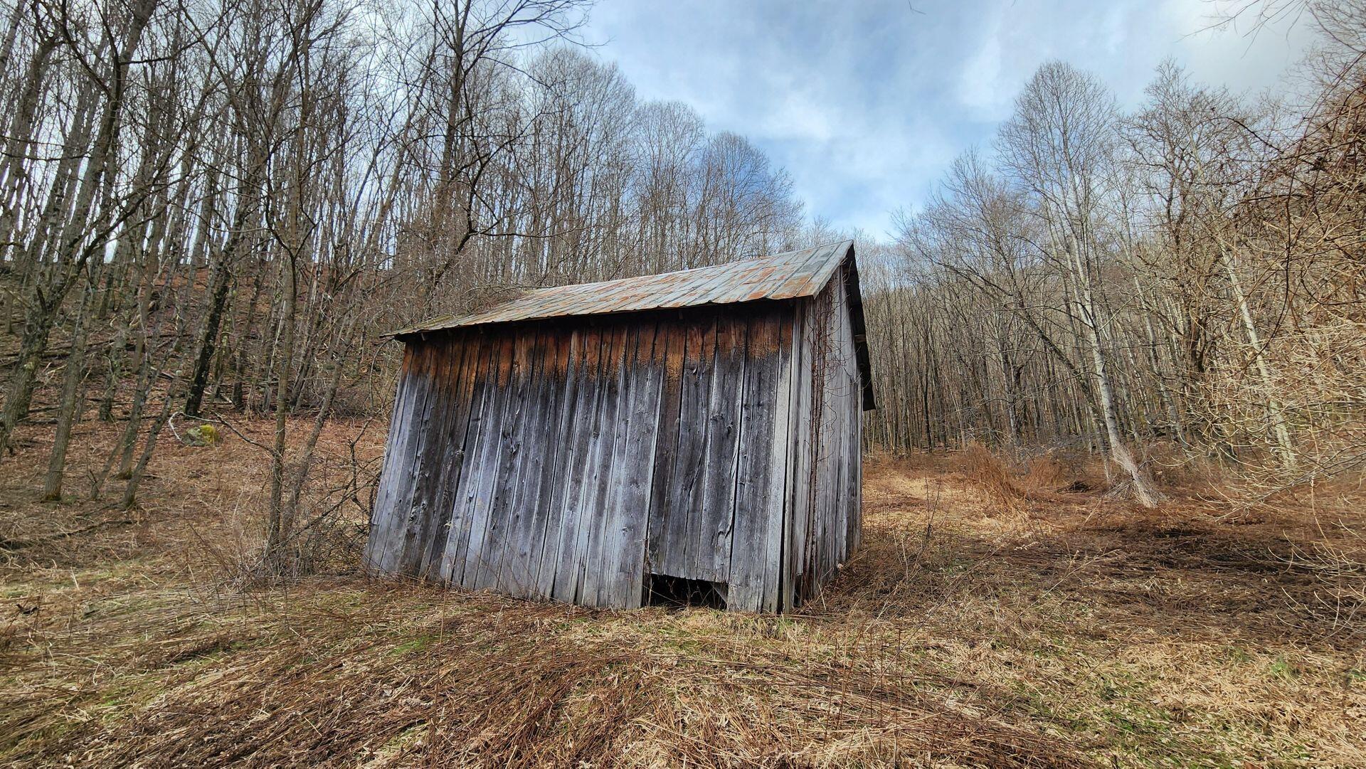 969 Simms Mountain Road Meadow Bridge, WV 25976 - Photo 17 of 31 Gallery Image 17
