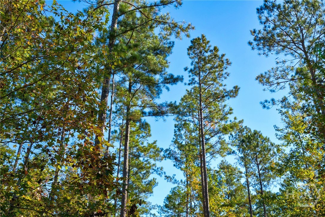 1 Bridges Road Carlton, GA 30627 - Photo 9 of 33