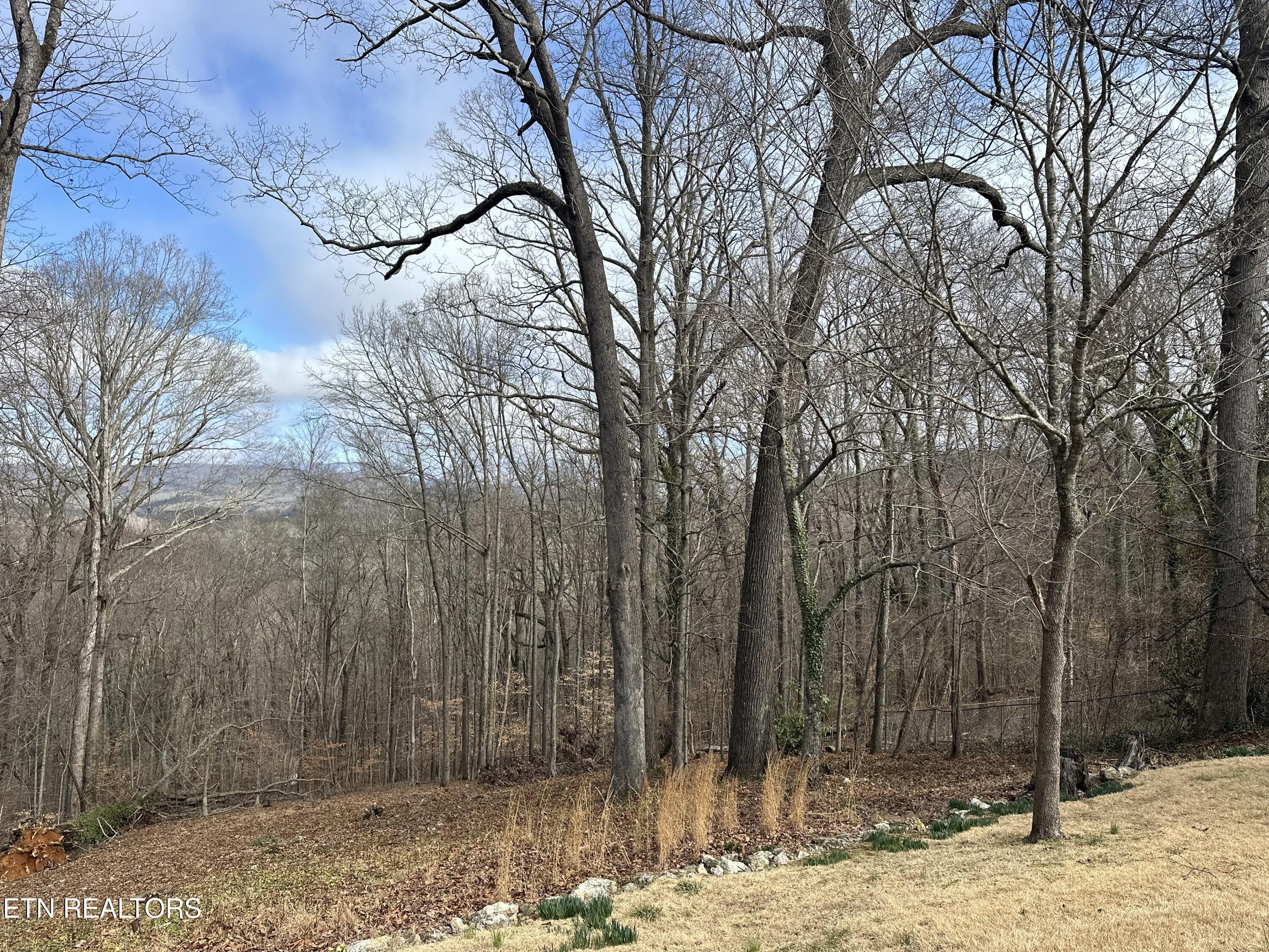 102 Osage Road Oak Ridge, TN 37830 - Photo 27 of 30 IMG_8870
