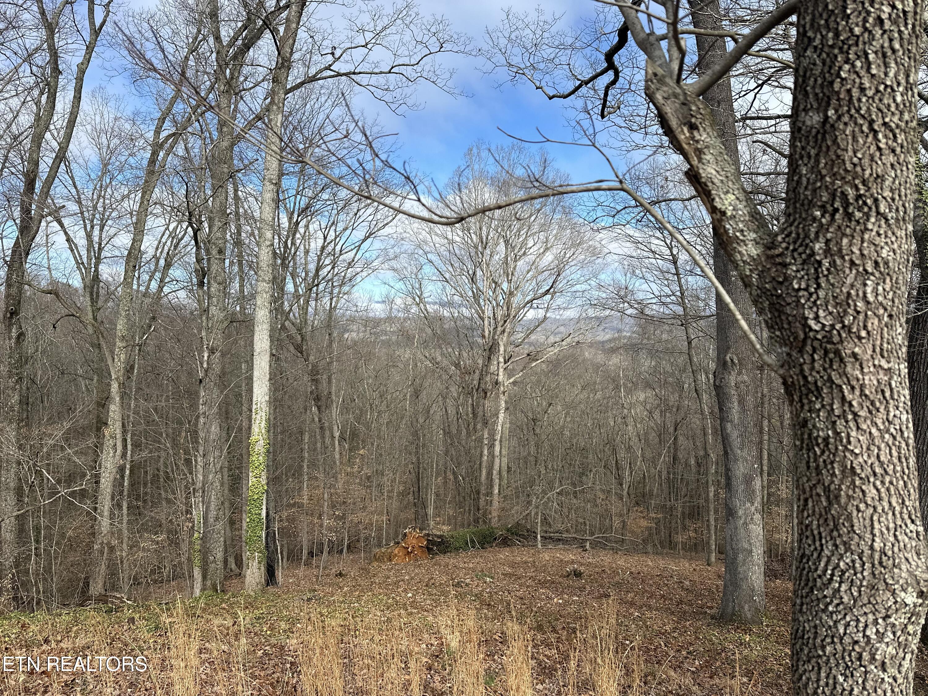 102 Osage Road Oak Ridge, TN 37830 - Photo 28 of 30 IMG_8871