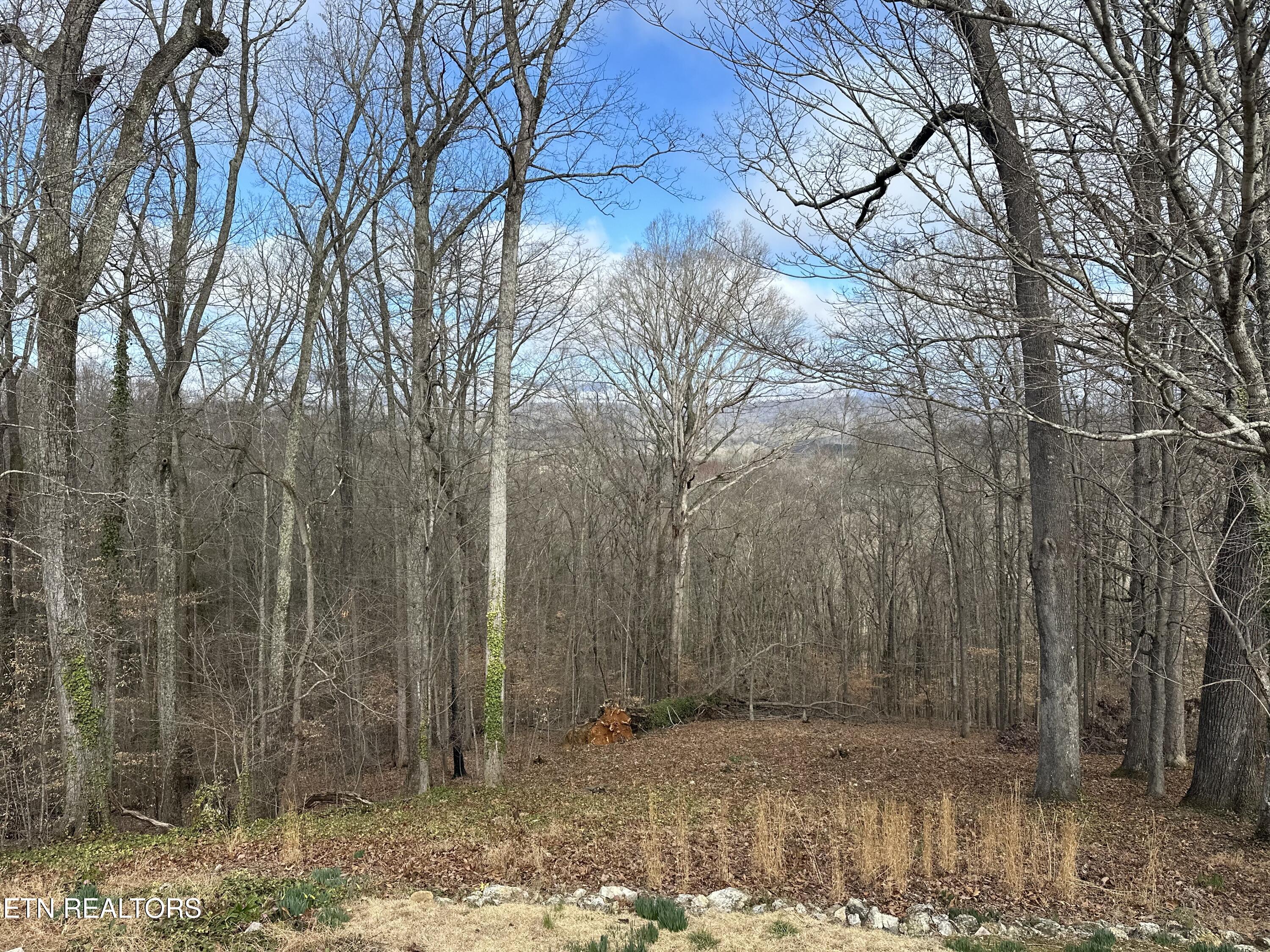 102 Osage Road Oak Ridge, TN 37830 - Photo 29 of 30 IMG_8876