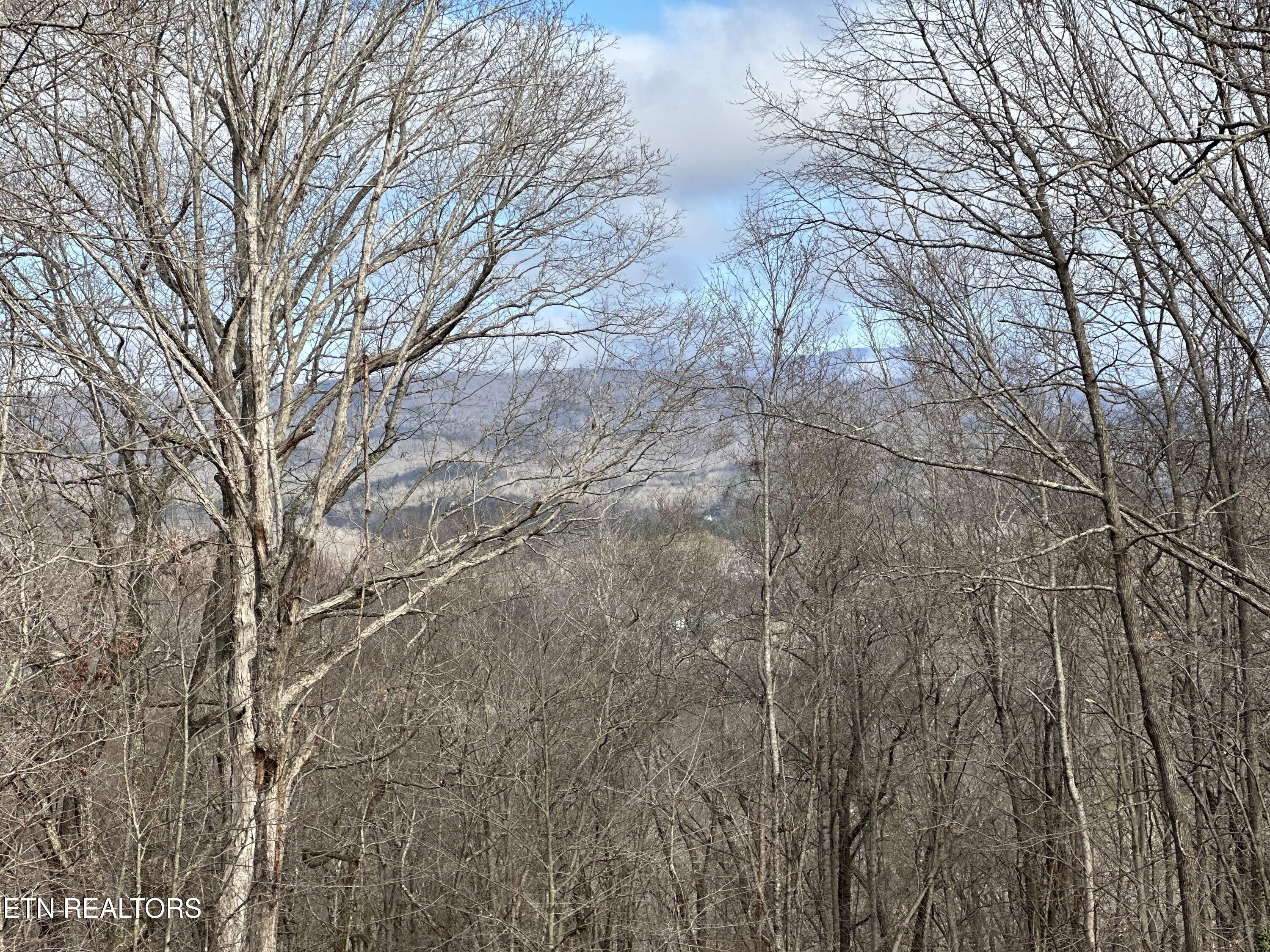 102 Osage Road Oak Ridge, TN 37830 - Photo 30 of 30 IMG_8868