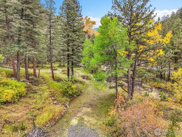 a view of yard with trees