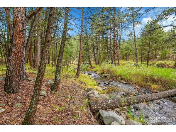 a view of outdoor space with trees