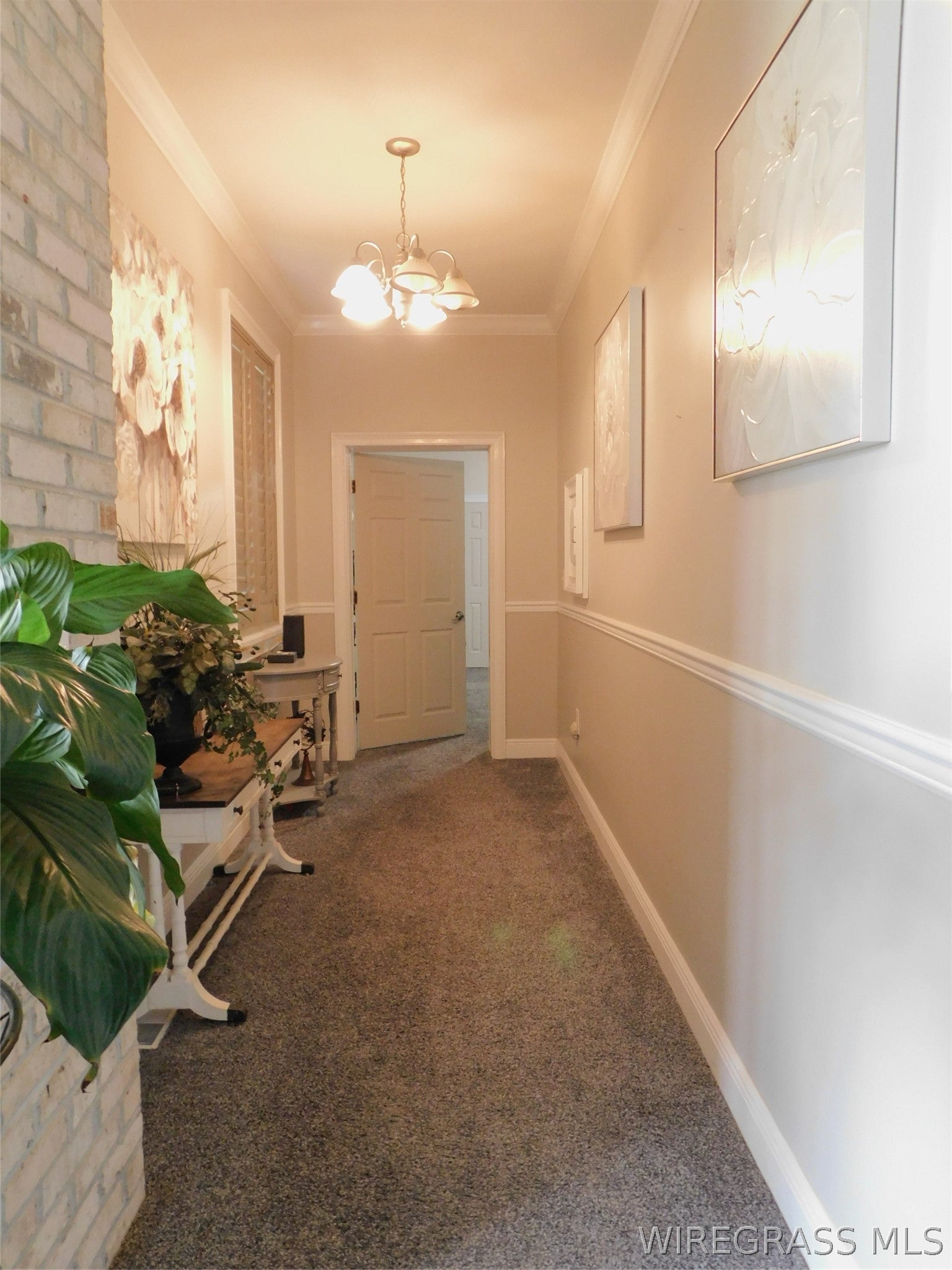 7016 Jd Williamson Road Red Level, AL 36474 - Photo 11 of 39 Gallery Image 11