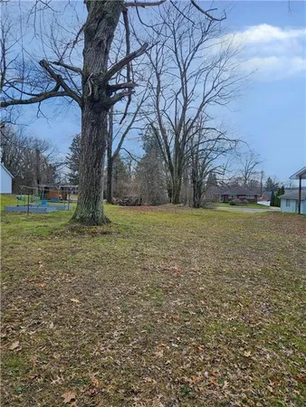 a view of a yard with a tree