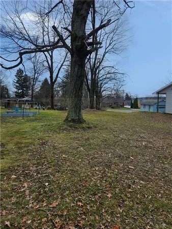 a backyard of apartments with large trees