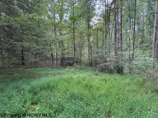Tbd Massie Hollow Road Rivesville, WV 26588 - Photo 18 of 26 Gallery Image 18