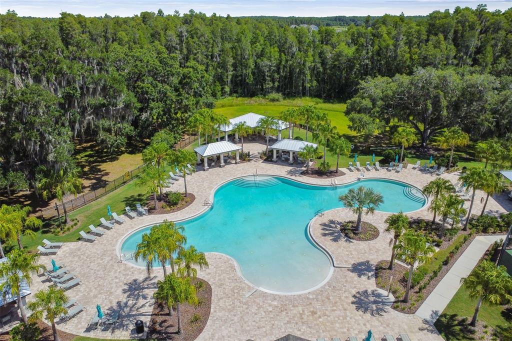 11127 Sundrift Drive Tampa, FL 33647 - Photo 38 of 44 an aerial view of a swimming pool with lawn chairs and large trees