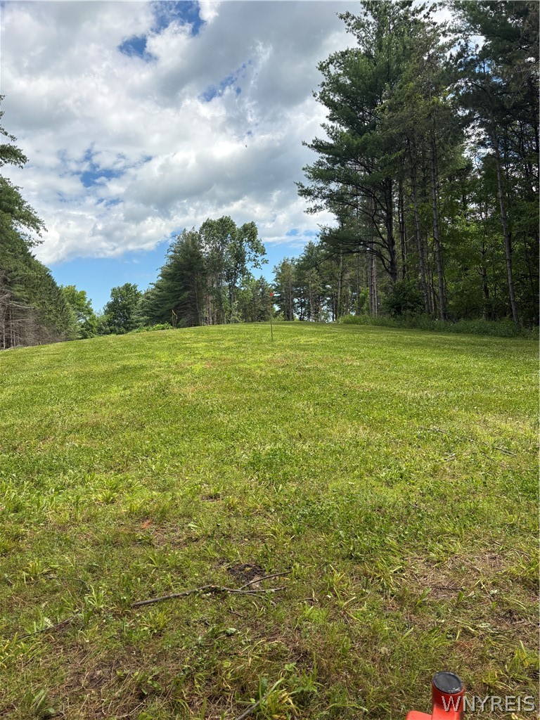 3939 Stalker Road Walworth, NY 14502 - Photo 4 of 9 Gallery Image 4