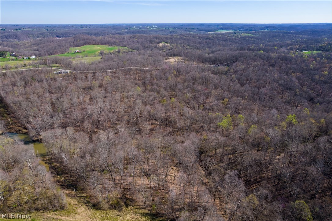 Sealover Hollow Rd Road Philo, OH 43771 - Photo 8 of 36