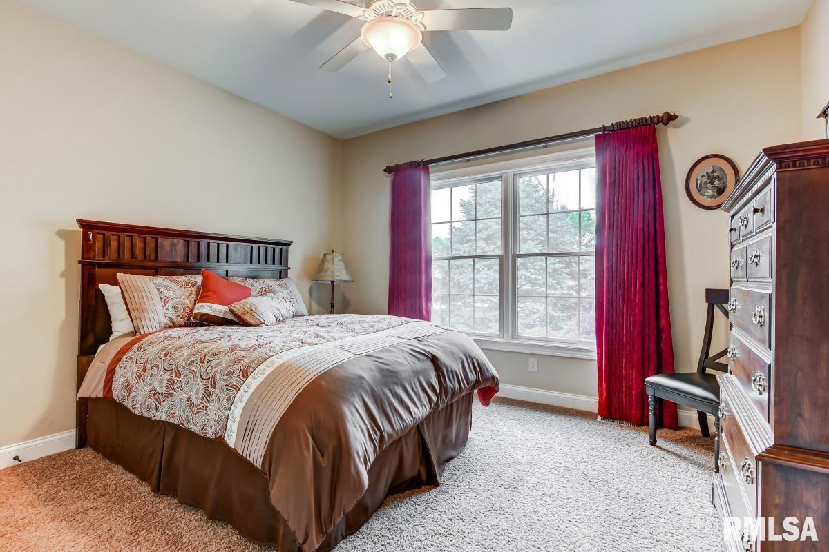 3817 Calla Lily Lane Springfield, IL 62711 - Photo 33 of 50