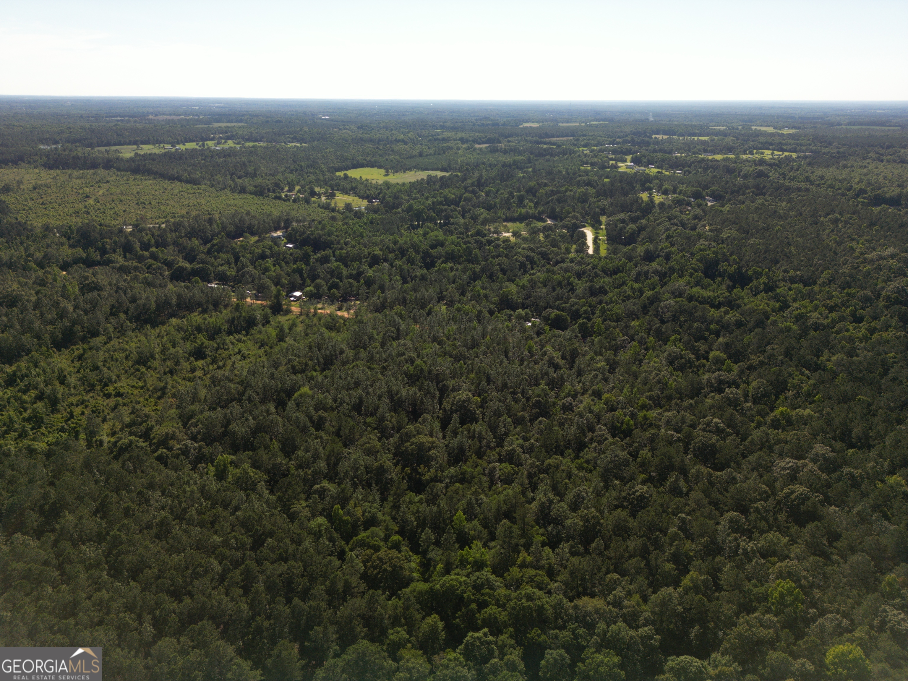 1667 Richard Moore Road Dublin, GA 31021 - Photo 6 of 43