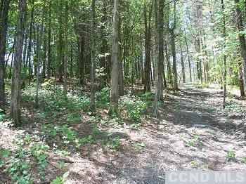 43 Pine Point Road Athens, NY 12015 - Photo 4 of 4 Photo 4
