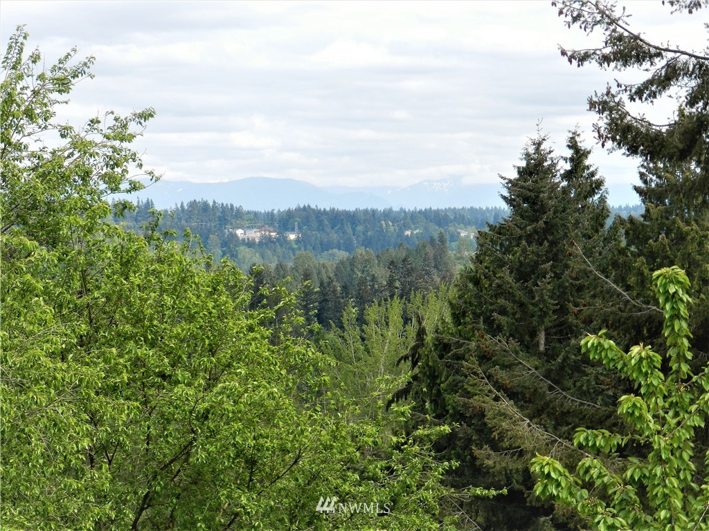 22511 4th Avenue Southeast Bothell, WA 98021 - Photo 16 of 18