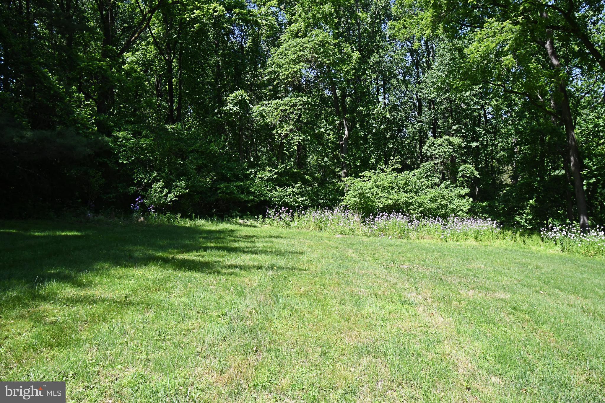 3479 Windy Bush Road New Hope, PA 18938 - Photo 22 of 24