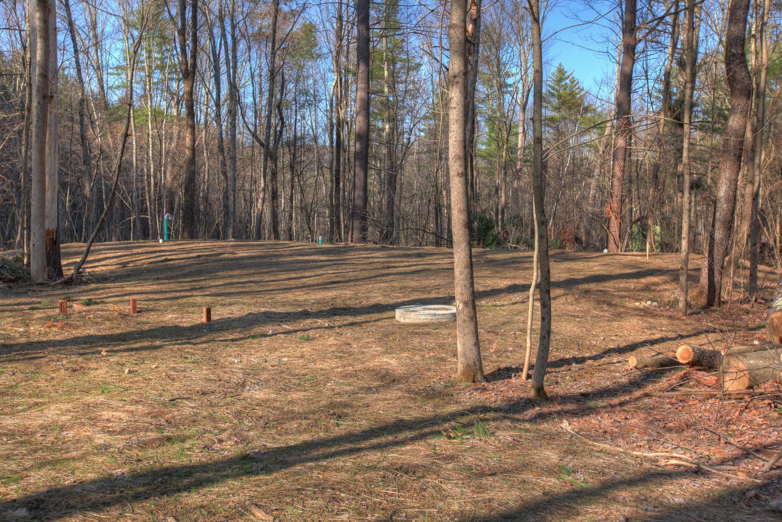 36 Blue Hill Road Monterey, MA 01245 - Photo 9 of 34 a view of a yard with large trees