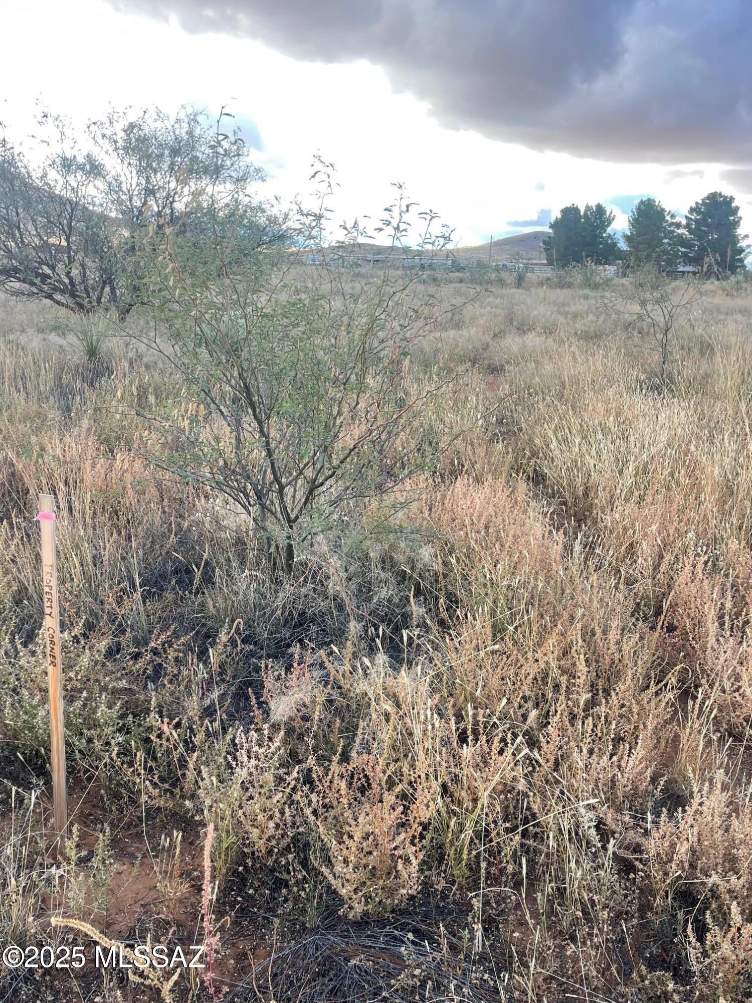 Tbd South Rain Valley Road, Unit C Elgin, AZ 85611 - Photo 6 of 17