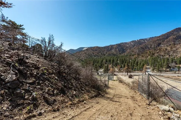a view of a forest with mountains in the background