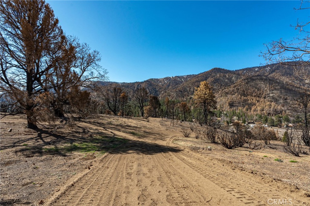 0 North Cardinal Road Wrightwood, CA 92397 - Photo 12 of 22 a view of a backyard of a house