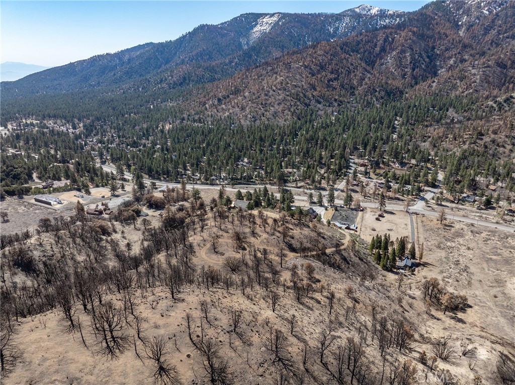 0 North Cardinal Road Wrightwood, CA 92397 - Photo 16 of 22 a view of a bunch of trees and bushes