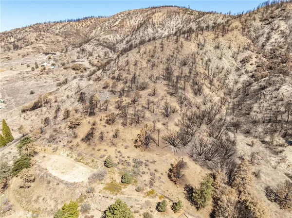 a view of a dry yard with a mountain