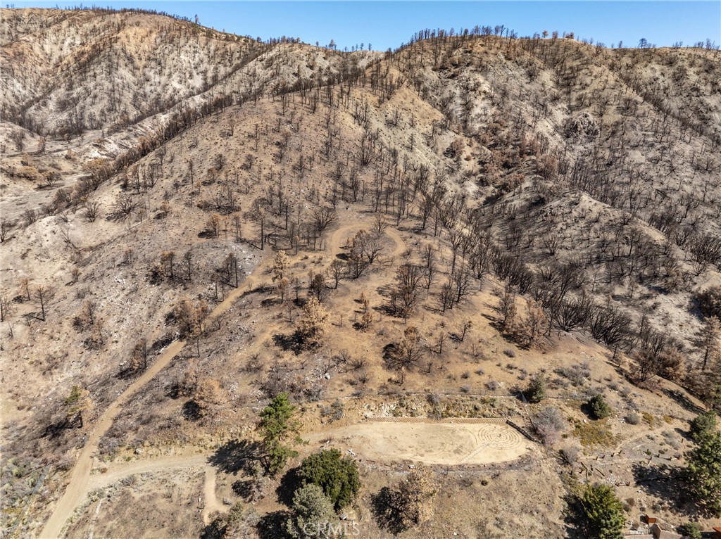 0 North Cardinal Road Wrightwood, CA 92397 - Photo 2 of 22 a view of a yard