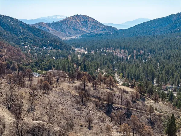 a view of a forest with mountains in the background