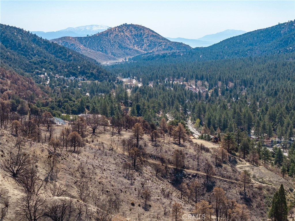 0 North Cardinal Road Wrightwood, CA 92397 - Photo 3 of 22 a view of a forest with mountains in the background