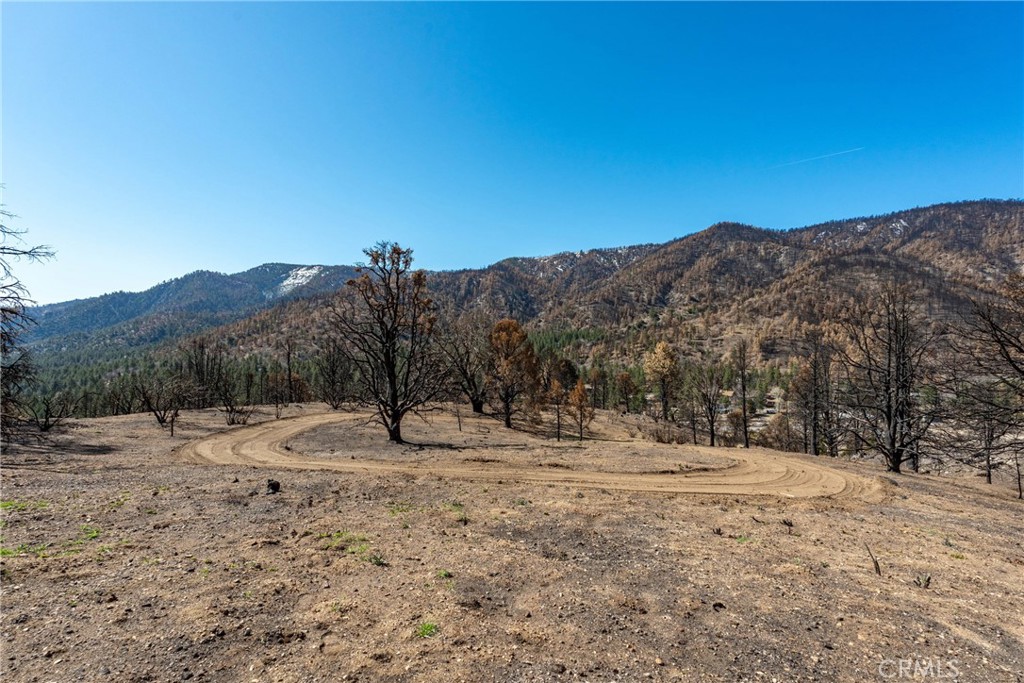 0 North Cardinal Road Wrightwood, CA 92397 - Photo 4 of 22 a view of outdoor space with trees in the background