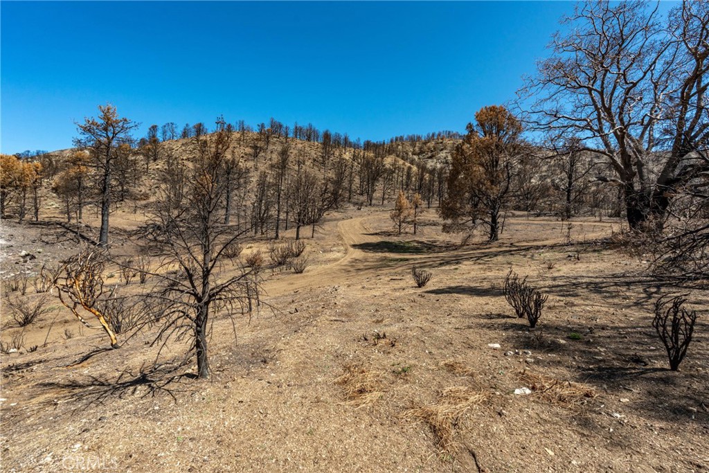 0 North Cardinal Road Wrightwood, CA 92397 - Photo 5 of 22 a view of outdoor space with seating