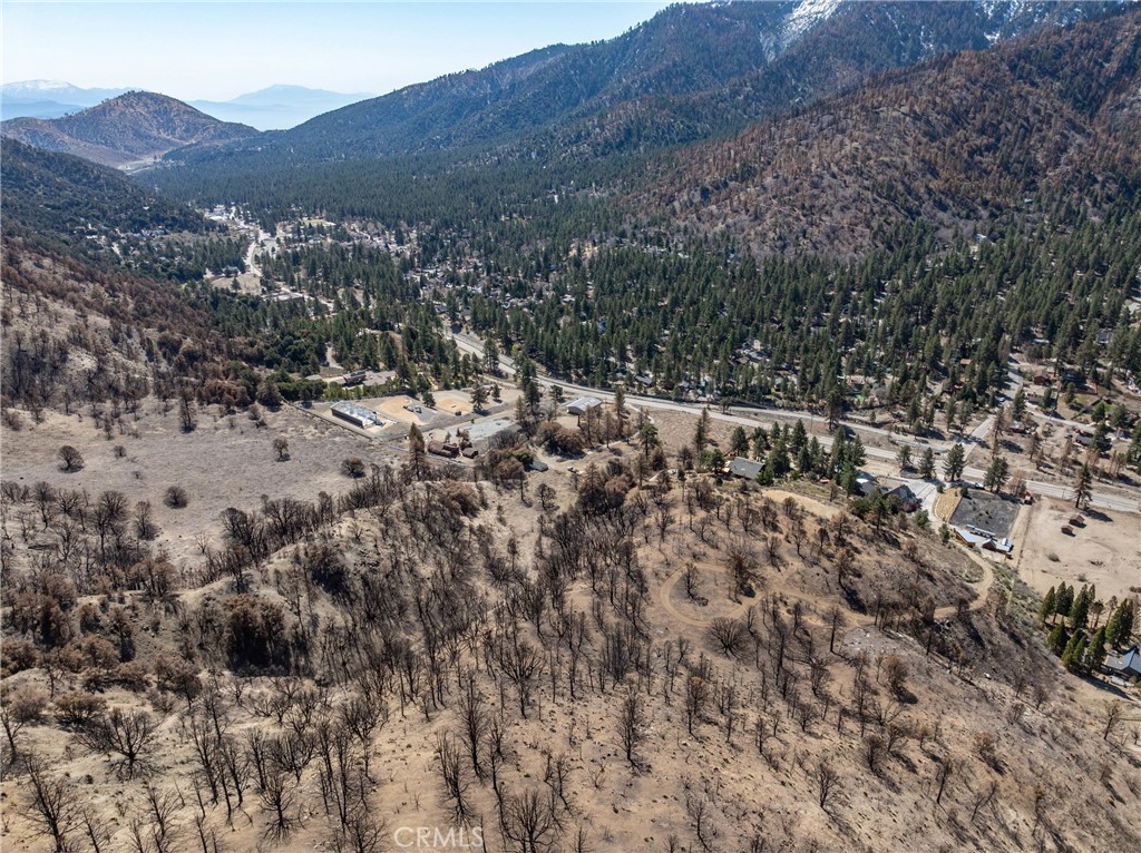 0 North Cardinal Road Wrightwood, CA 92397 - Photo 6 of 22 a view of a forest with mountains in the background